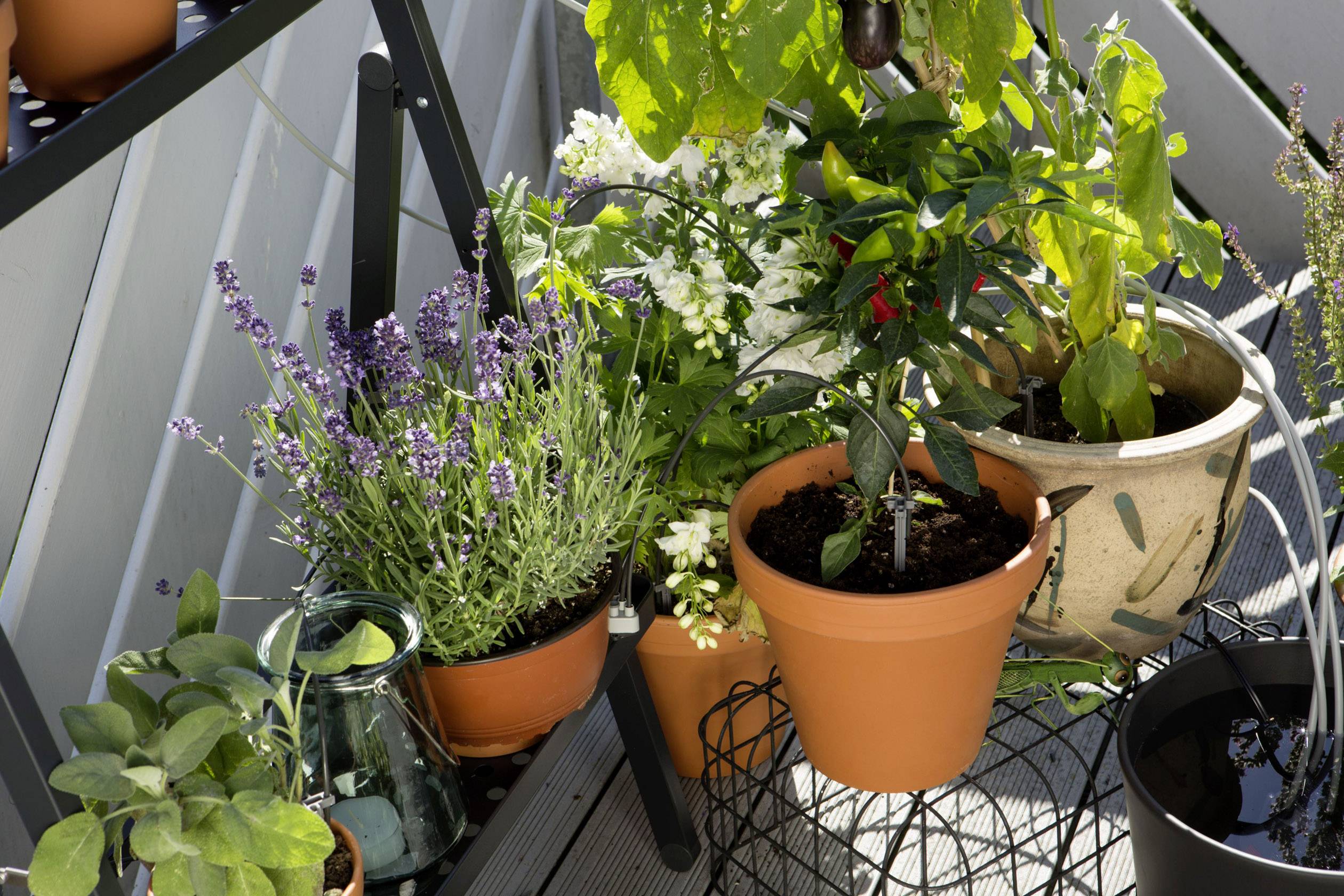 Gardena 01265-20 Urlaubsbewässerung