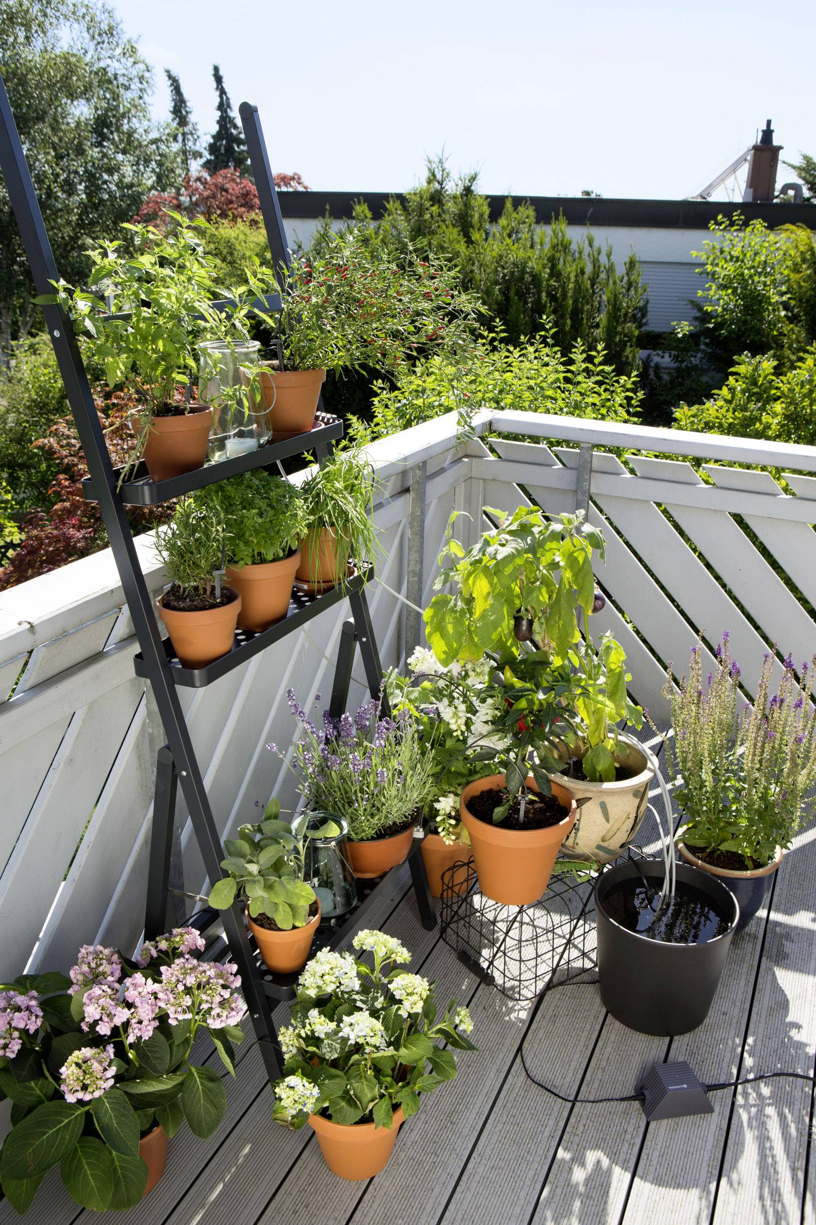 Terrasse mit kleinen Tontöpfen voller Kräuter und Blumen, neben einem Leiterregal mit weiteren Pflanzen, sonniger Tag, grüne Umgebung.