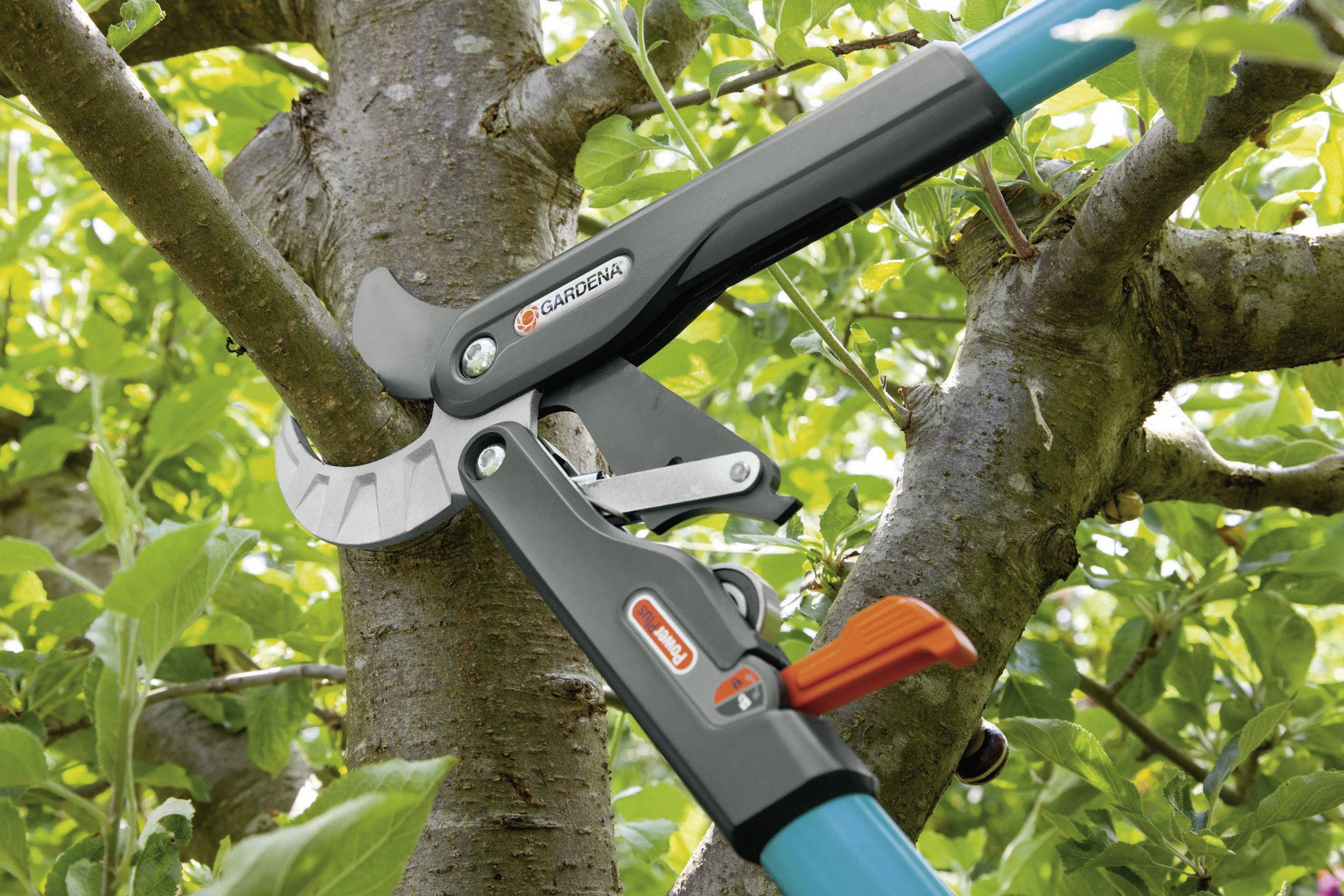 Ein Astschneider schneidet einen dicken Ast an einem Baum. Umgeben von grünen Blättern, zeigt er eine effiziente Gartengerätverwendung.
