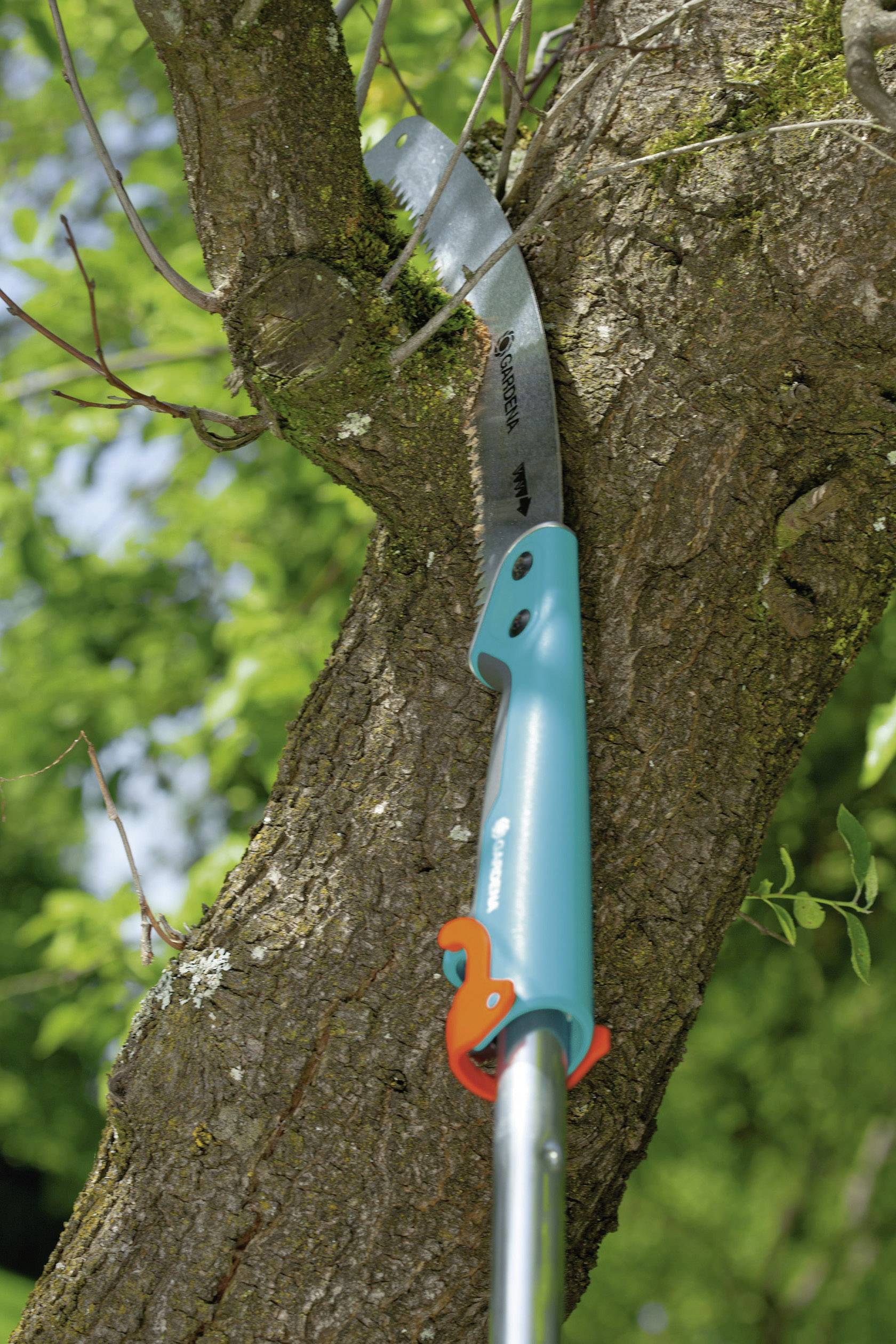 Astschneider mit blauer Griff an Baum angesetzt, bereit zum Schneiden. Stabile Klinge für präzisen Schnitt bei Gartenarbeiten.