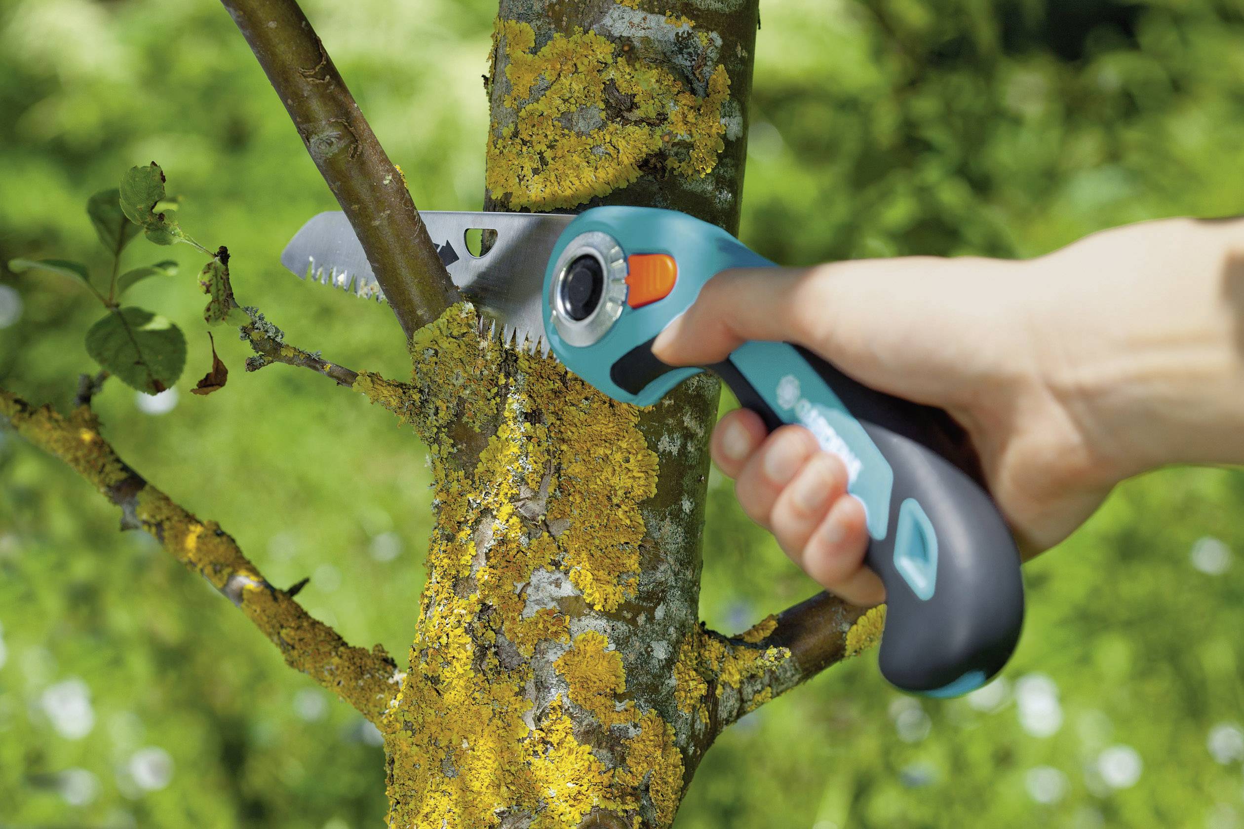 Hand sägt mit einer kleinen Handsäge einen Ast von einem Baum mit Moos ab.
