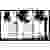Alunovo MAL-080 Kabelkanal (L x B x H) 800 x 30 x 15mm 1 St. Silber (matt, eloxiert)
