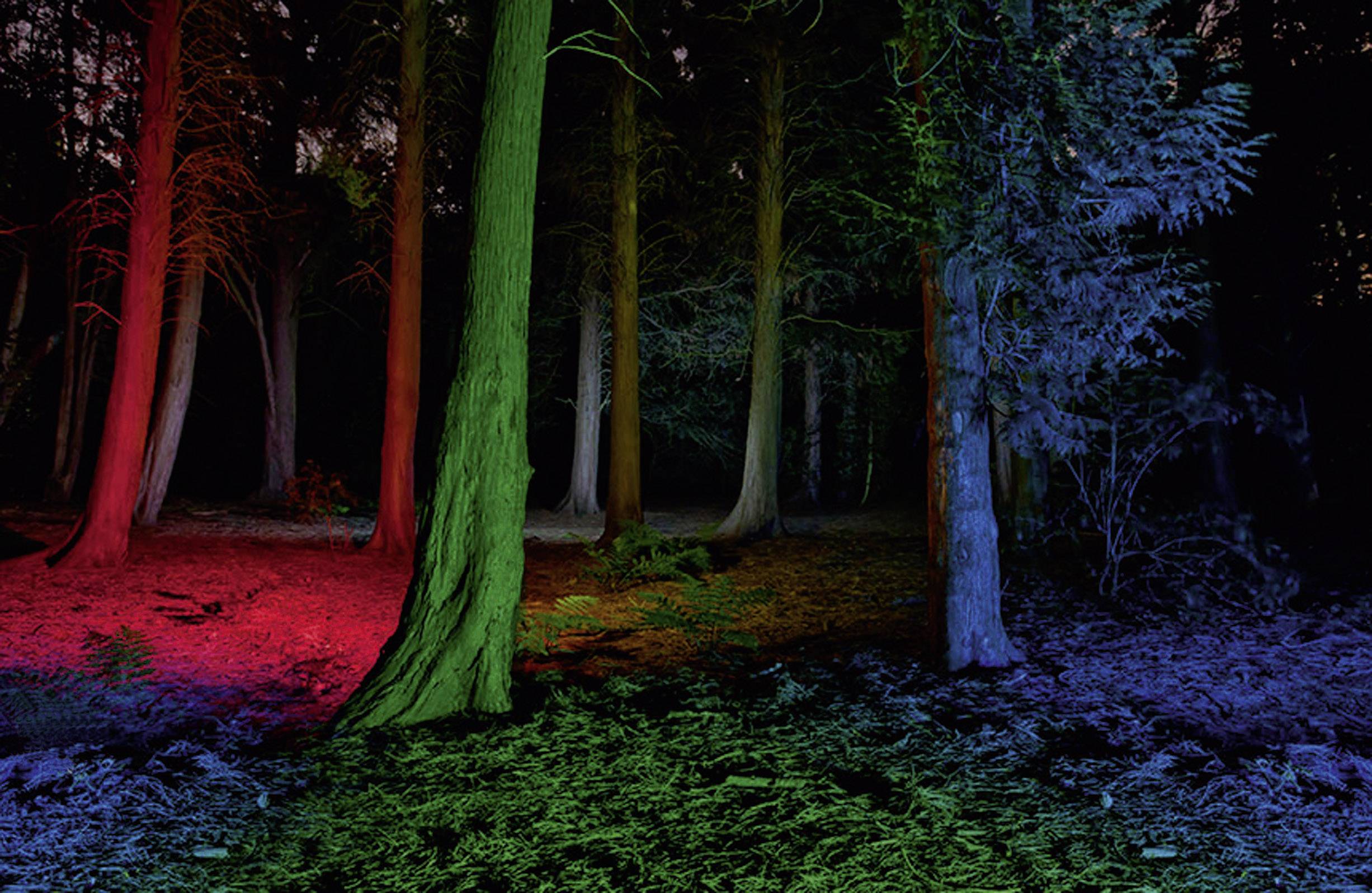 Ledlenser P7QC LED Taschenlampe batteriebetrieben 220 lm 25 h 175 g