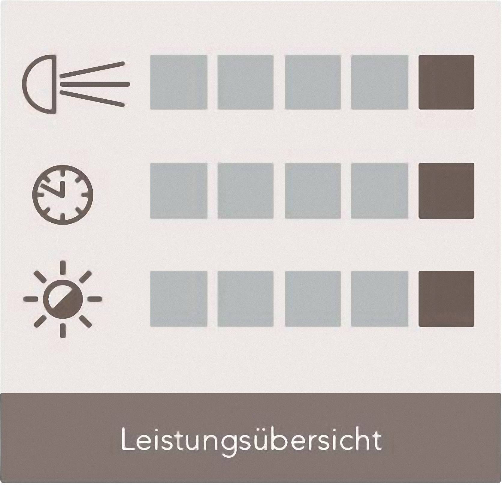 AEG 97260 Halogen Leuchtmittel White Xenon H4 60/55 W 12 V