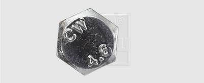 SWG 7865010 Sechskantschraube 6mm 50mm Außensechskant DIN 601 Stahl verzinkt 100St.