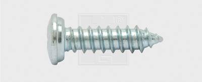 SWG 4009146208895 Nummernschild-Schrauben 5.5mm 25mm Kreuzschlitz Phillips Stahl verzinkt 100St.