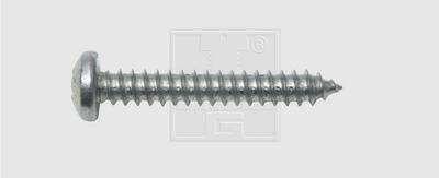 SWG 19111024010 Blechschrauben 4.8mm 19mm Kreuzschlitz Phillips DIN 7981 Stahl verzinkt 100St.