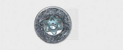 SWG Formel F Spanplattenschrauben 4mm 30mm T-Profil Stahl verzinkt 500St.