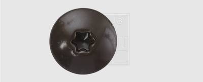 SWG 211535520 Fassadenschraube 5.5mm 35mm T-Profil Edelstahl A4 100St.