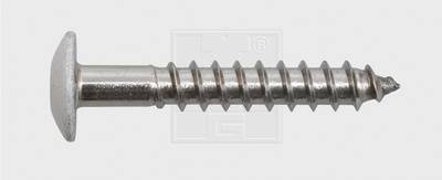 SWG 211545620 Fassadenschraube 5.5mm 45mm T-Profil Edelstahl A4 100St.