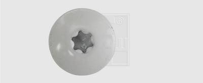 SWG 211535620 Fassadenschraube 5.5mm 35mm T-Profil Edelstahl A4 100St.