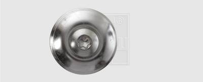 SWG 2343453510 Holzschraube 4.5mm 35mm T-Profil Edelstahl A2 100St.