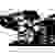 Amewi Pitbull X 1:5 RC Modellauto Benzin Buggy Heckantrieb (2WD) RtR 2,4GHz