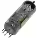 BTB Vertrieb ECH 81 = 6 AJ 8 = 6I1P Elektronenröhre Triode-Heptode 100 V, 160 V 13.5 mA, 11 mA Polz BTB Vertrieb ECH 81 = 6 AJ 8 = 6I1P Elektronenröhre Triode-Heptode 100 V, 160 V 13.5 mA, 11 mA Polz