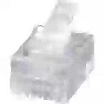 MH Connectors MHRJ126P6CR RJ12-Modularstecker 6510-0104-04 Stecker, gerade Pole: 6P6C Transparent MH Connectors MHRJ126P6CR RJ12-Modularstecker 6510-0104-04 Stecker, gerade Pole: 6P6C Transparent