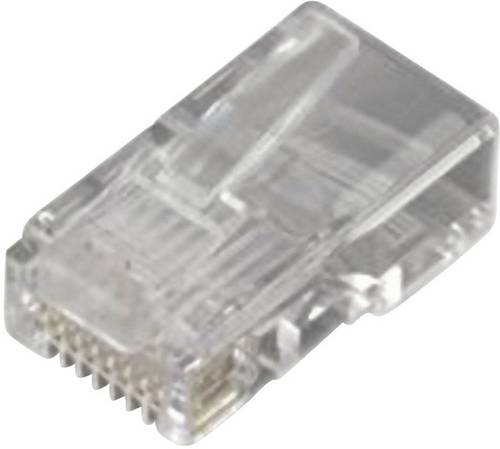 MH Connectors MHRJ458P8CR RJ45-Modularstecker 6510-0104-0ecker, gerade Pole: 8P8C Transparent 1