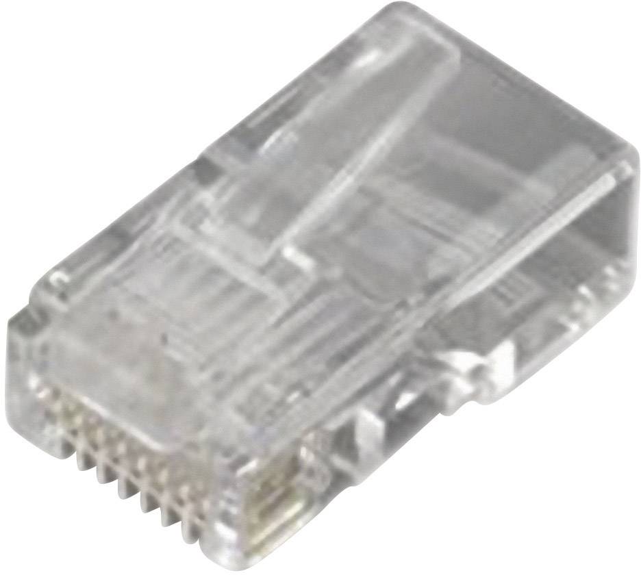 Ein transparenter RJ45-Stecker, typisch für Ethernet-Kabelverbindungen. Er zeigt goldene Kontakte und ist für Netzwerke geeignet.
