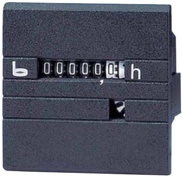 Bauser 630R/008-021-0-1-001 Betriebsstundenzähler - 630