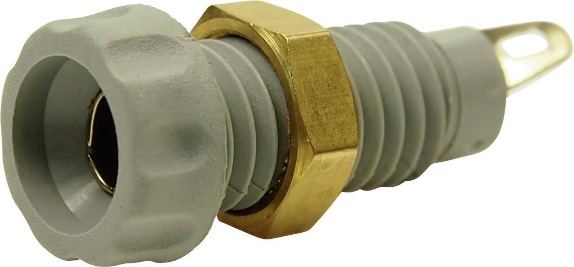 Cliff CL1458A Laborbuchse Buchse, Einbau vertikal Stift-Ø: 4 mm Grau