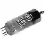 BTB Vertrieb EL 95 = 6 DL 5 Elektronenröhre Endpentode 250 V 24 mA Polzahl: 7 Sockel: Miniatur Inha BTB Vertrieb EL 95 = 6 DL 5 Elektronenröhre Endpentode 250 V 24 mA Polzahl: 7 Sockel: Miniatur Inha