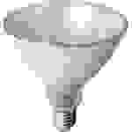 Megaman LED-Pflanzenlampe 133 mm 230 V E27 12 W Reflektor 1 St.