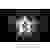Konstsmide 2786-103 LED-Weihnachtsstern EEK: A (A++ - E) Stern Warm-Weiß LED Transparent