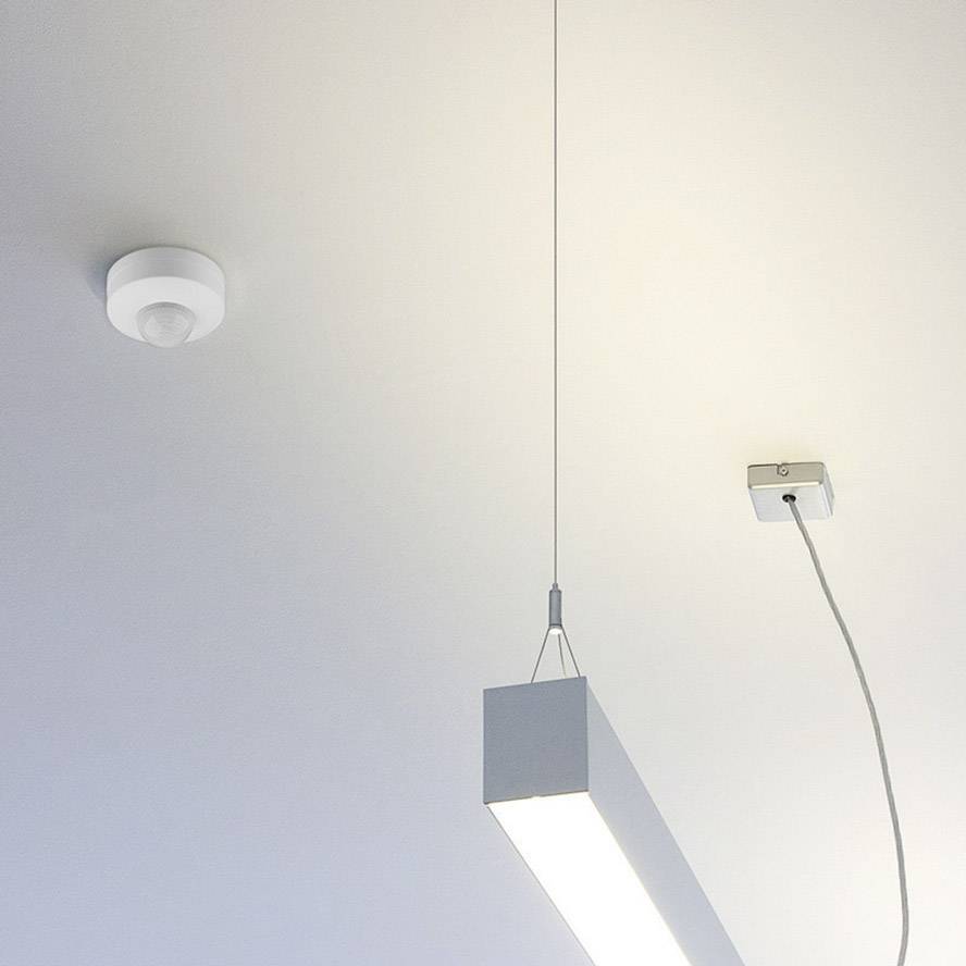 Goobay 96007 Decke, Wand PIR-Bewegungsmelder 360 ° Relais Weiß IP20