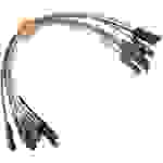 MikroElektronika MIKROE-511 Jumper-Kabel Raspberry Pi, Banana Pi, Arduino [10x Drahtbrücken-Buchse - 10x Drahtbrücken-Buchse]