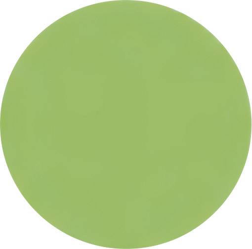 Ein grüner Kreis auf weißem Hintergrund.