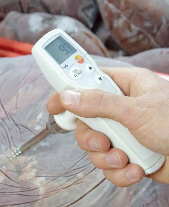 Eine Hand hält ein lebensmitteltaugliches Digitalthermometer, das in ein Stück Fleisch eingeführt ist. Display zeigt Temperatur.