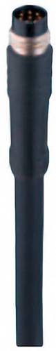 Belden 934636169-1 Sensor-/Aktor-Steckverbinder, konfektioniert M8 Stecker, gerade 2.00 m Polzahl S