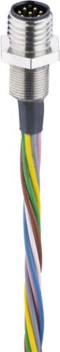 Belden 000091740 Sensor-/Aktor-Einbausteckverbinder M8 Stecker, Einbau 0.50 m Polzahl Sensoren: 8 1