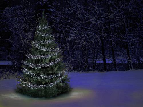 PLC-06-003 Micro-Lichterkette Außen netzbetrieben Anzahl Leuchtmittel 480 LED Beleuchtete