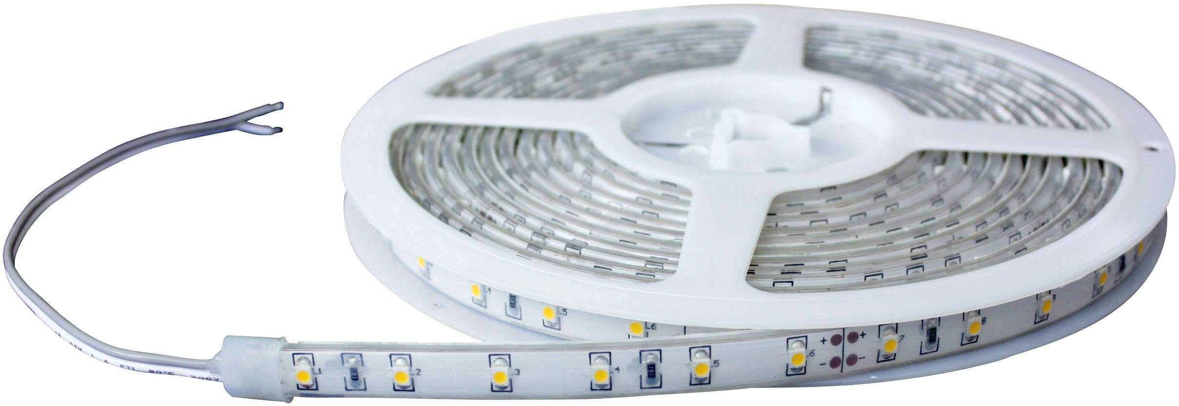 Barthelme 51658415 51658415 LED-Streifen mit offenem Kabelende 24 V 5 m Kaltweiß