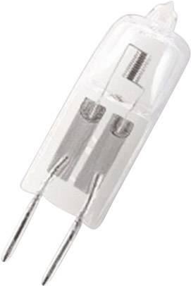 Kleine Halogenlampe mit zwei Metallstiften an der Unterseite zur elektrischen Verbindung.