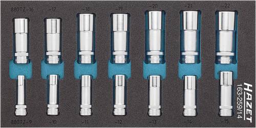 Hazet Steckschlüsseleinsatz-Set 3/8  (10 mm) 14teilig 163-259/14