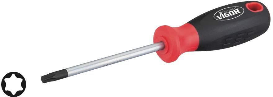 Torx-Schraubendreher mit schwarzem Griff und roter Kappe. Spitze in Sternform, geeignet für spezielle Schraubenkopf-Typen.