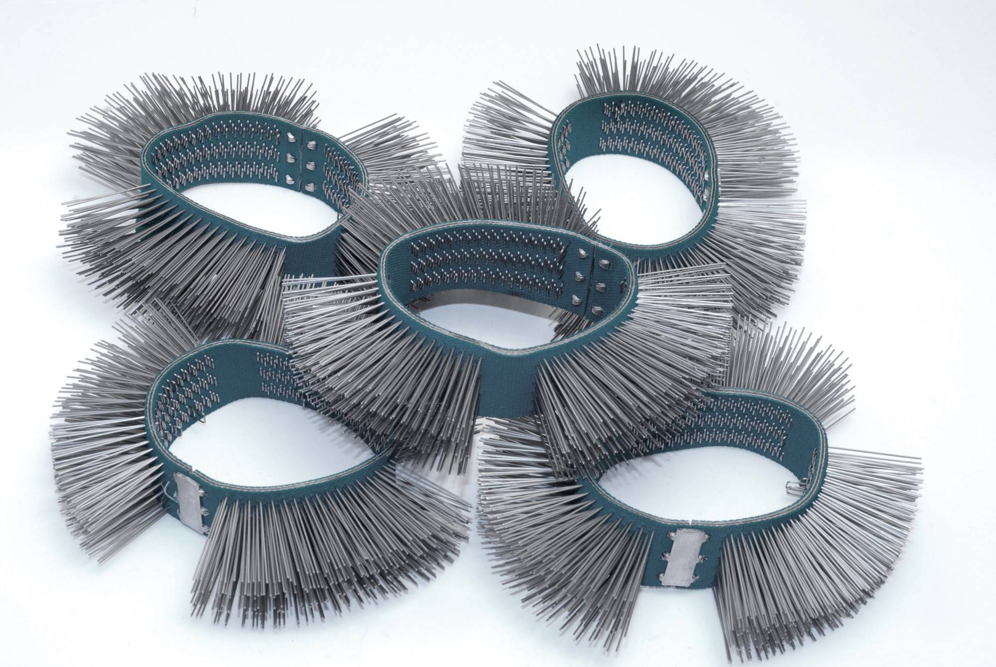 Fünf metallische Drahtbürsten in Ringform liegen auf einer weißen Oberfläche. Sie sind gleichmäßig verteilt und zeigen die Borsten nach außen.