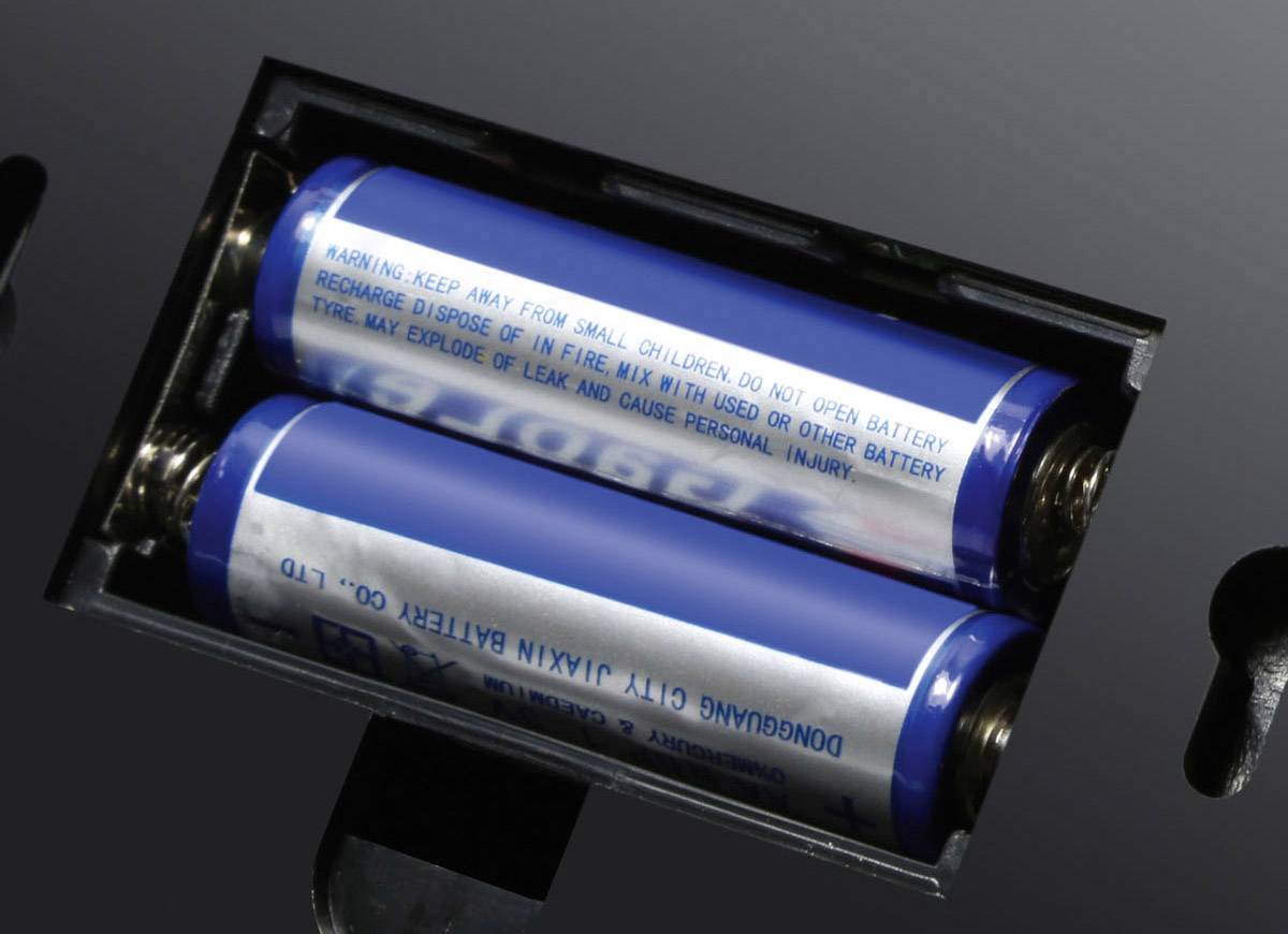 Technaxx 4311 Kamera-Attrappe mit Bewegungsmelder, mit blinkender LED