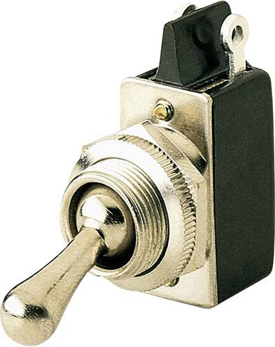 0101.0601-00 Kippschalter 250 V/AC 2 A 1 x Aus/Ein rastend 1 St.