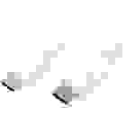 LogiLink DisplayPort / HDMI Adapterkabel DisplayPort Stecker, HDMI-A Stecker 2.00 m Weiß CV0055 ver