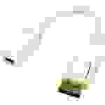 LogiLink CV0040 DisplayPort Adapter [1x DisplayPort Stecker - 1x Mini-DisplayPort Buchse] Weiß vergoldete Steckkontakte 15.00cm