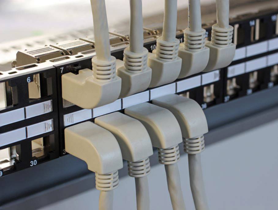 Ein Netzwerk-Panel mit acht eingesteckten Ethernet-Kabeln, die geordnet in Ports auf einem Server-Rack eingeschnappt sind.