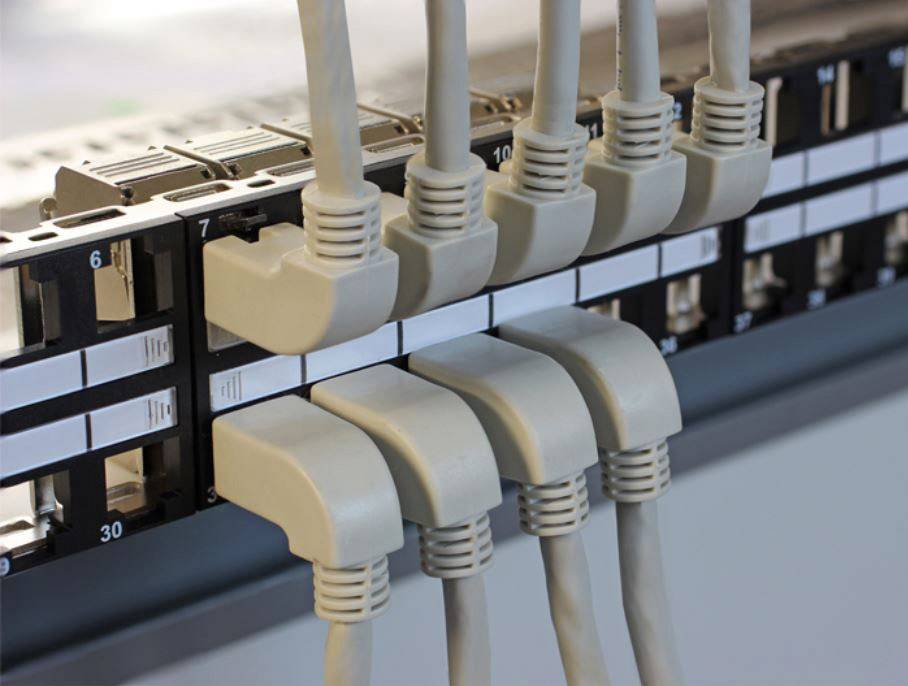 Mehrere Ethernet-Kabel sind in einen Netzwerk-Switch eingesteckt, was auf eine komplexe IT-Infrastruktur hinweist.