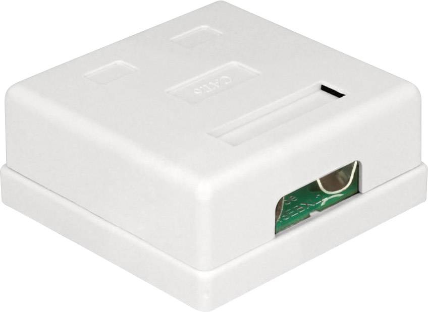 Delock 86269 Netzwerkdose Unterputz Einsatz mit Zentralplatte und Rahmen CAT 6 2 Port Weiß