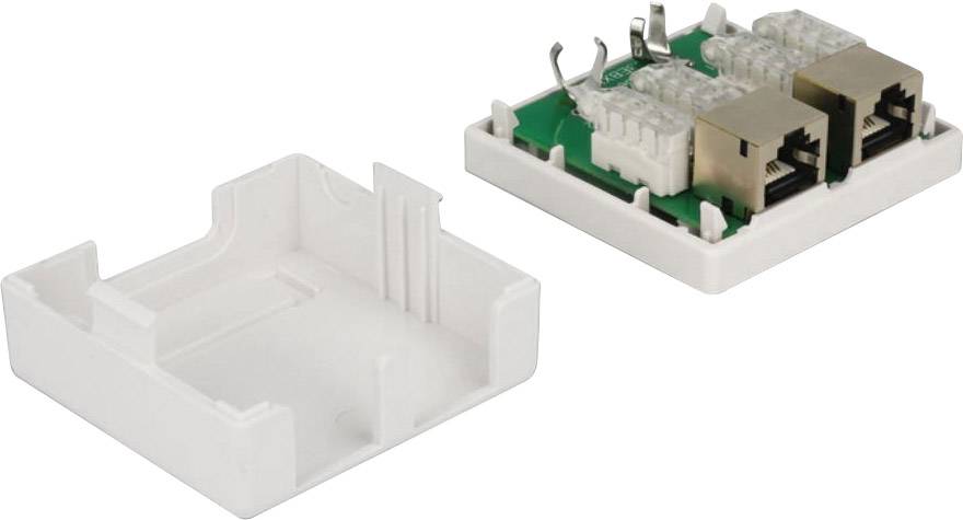Delock 86269 Netzwerkdose Unterputz Einsatz mit Zentralplatte und Rahmen CAT 6 2 Port Weiß