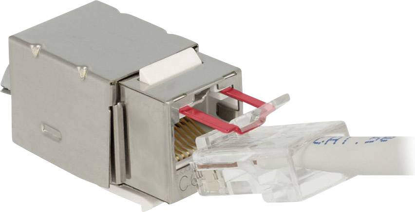 Delock 86404 RJ45-Einbaumodul Keystone CAT 6 1 St.