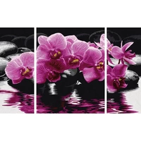 Schipper Malen nach Zahlen - Orchideen Triptychon Schipper Malen nach Zahlen - Orchideen Triptychon