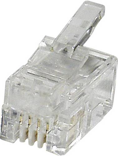 Econ Connect MPL44R Modular-Stecker MPL44R Stecker, gerade Polzahl 4P4C Klar