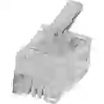 Econ Connect MPL44R Modular-Stecker MPL44R Stecker, gerade Polzahl 4P4C Klar Econ Connect MPL44R Modular-Stecker MPL44R Stecker, gerade Polzahl 4P4C Klar